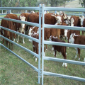 Hot sale Squre/round pipe horse fence